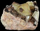 Lustrous, Yellow Cubic Fluorite Crystals - Morocco #44877-1